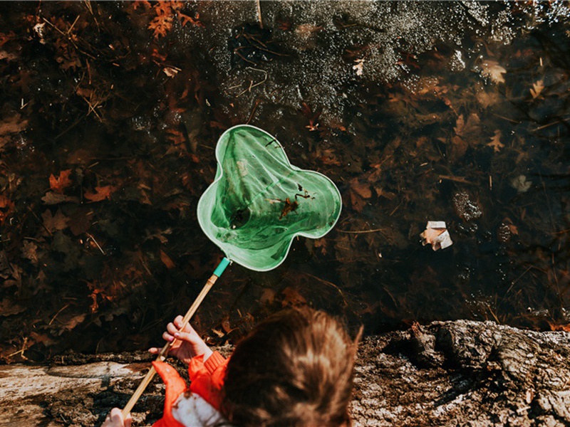 渭河造句,用渭河怎么造句子(63句)