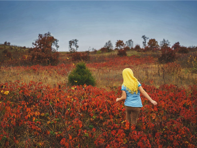 哪里去造句,用哪里去怎么造句子(180句)