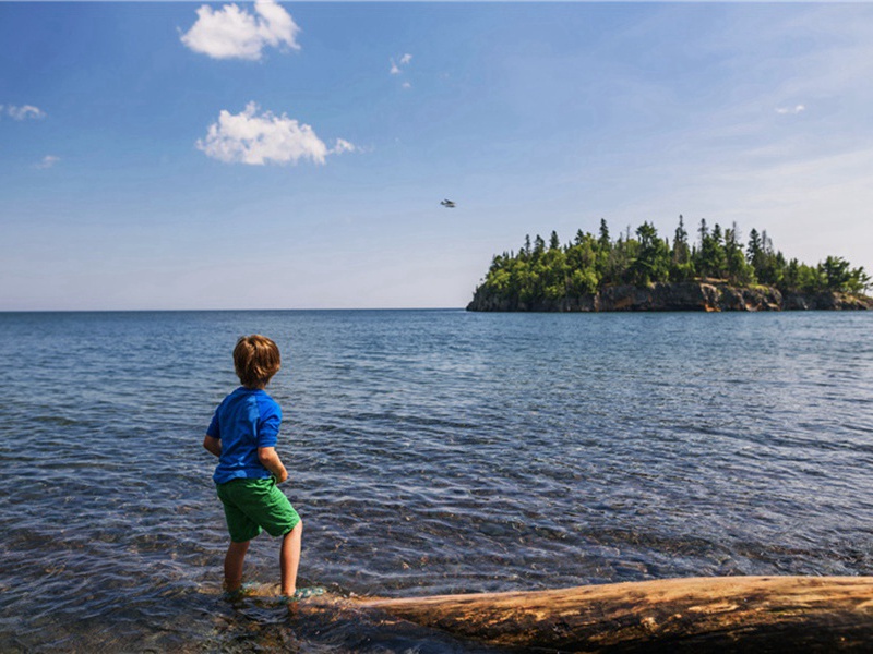 长臂猿造句,用长臂猿怎么造句子(23句)