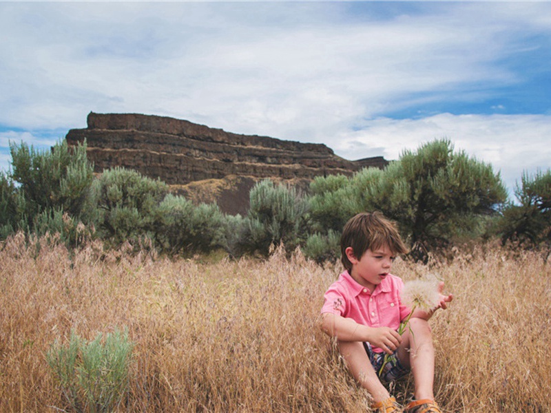 一切一切造句,用一切一切怎么造句子(37句)