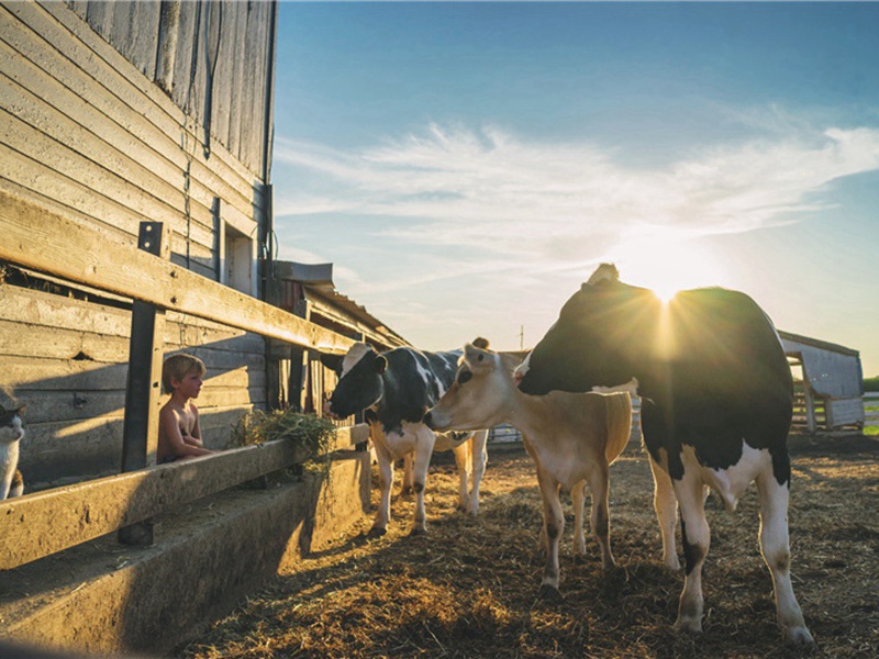 庙里造句,用庙里怎么造句子(175句)