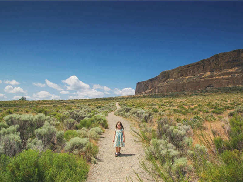 翎羽造句,用翎羽怎么造句子(35句)