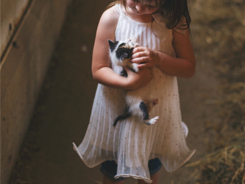 图谋不轨造句,图谋不轨怎么造句子(30句)