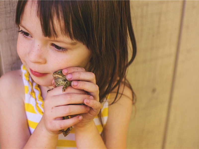 不防造句,用不防怎么造句子(125句)