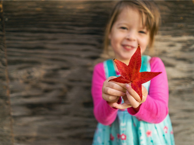 指导造句,用指导怎么造句子(161句)