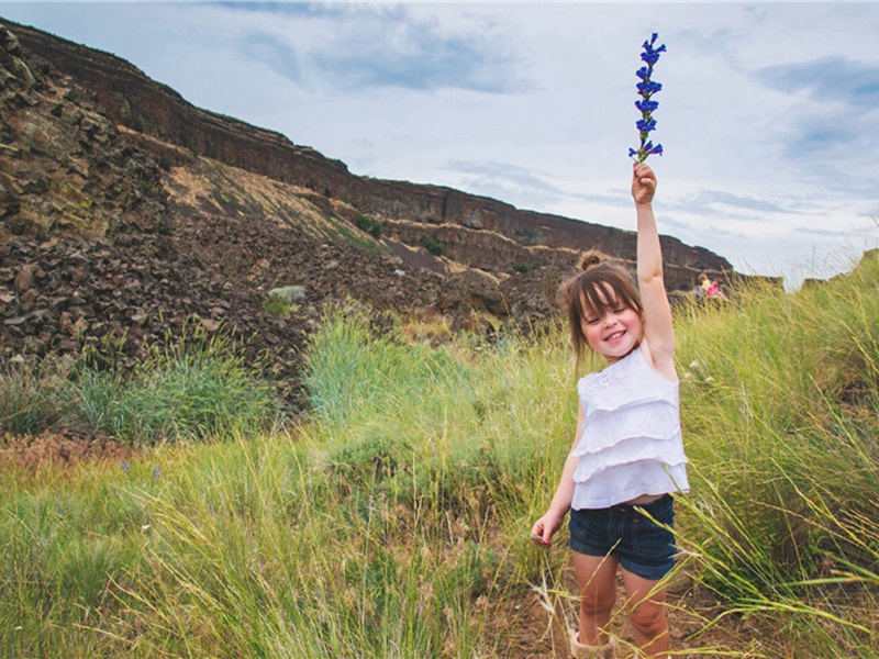 散尽造句,用散尽怎么造句子(153句)