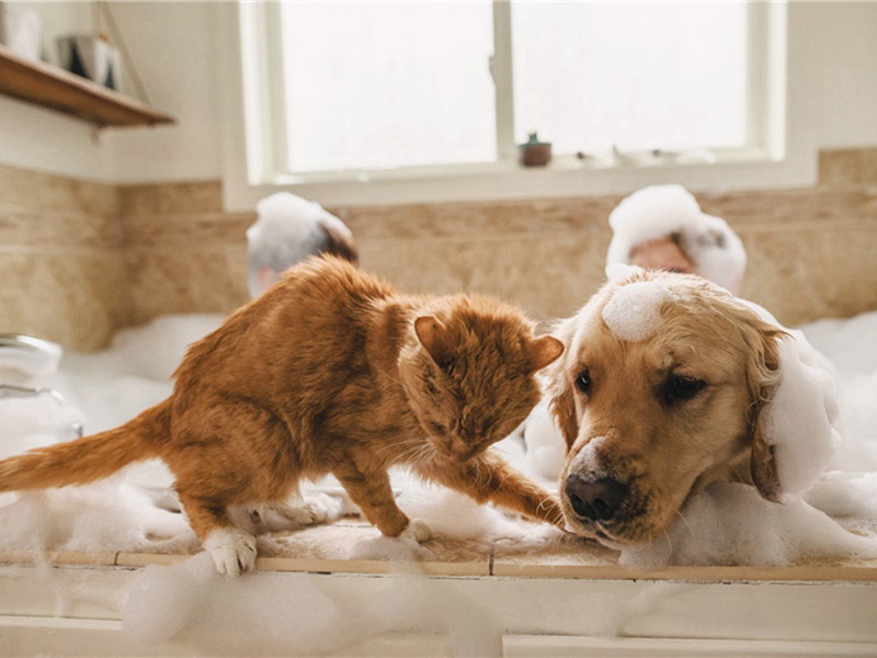 笔砚造句,用笔砚怎么造句子(32句)