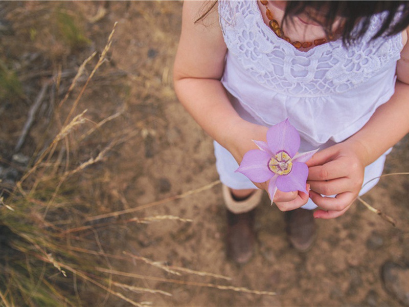 特任造句,用特任怎么造句子(28句)