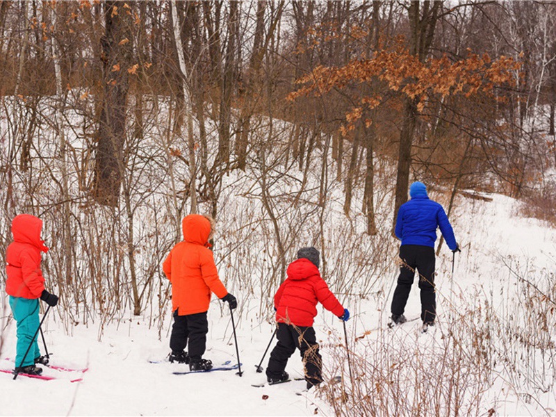 高超造句,高超怎么造句子(171句)