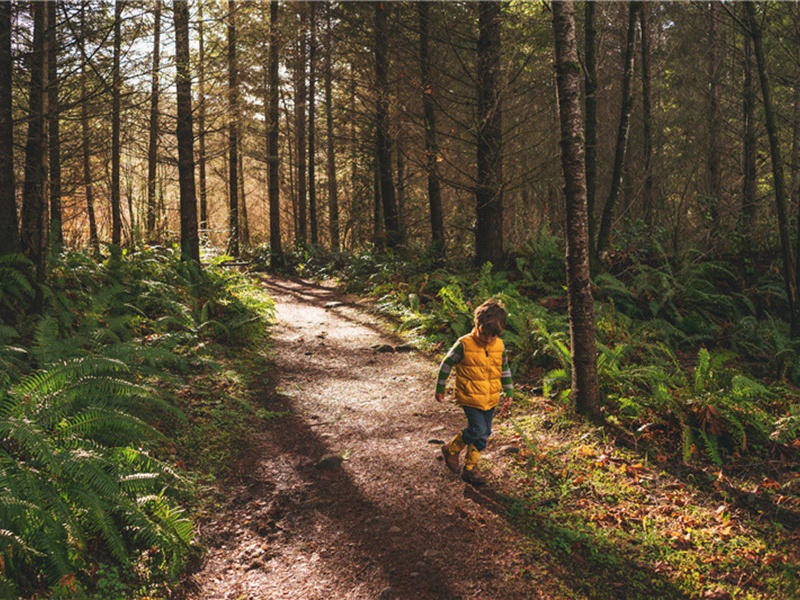 团聚造句,团聚怎么造句子(179句)