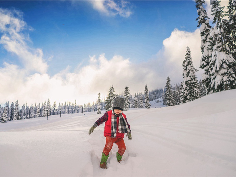 劳形造句,用劳形怎么造句子(32句)