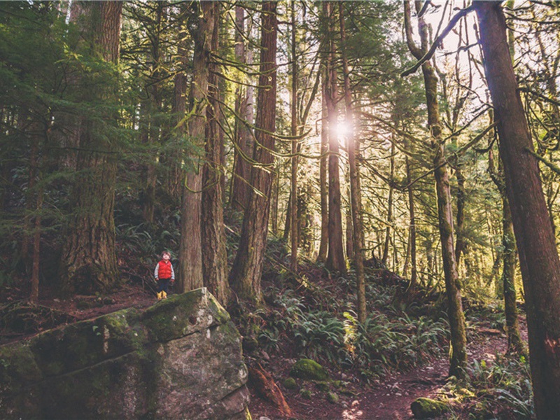 散尽造句,用散尽怎么造句子(153句)