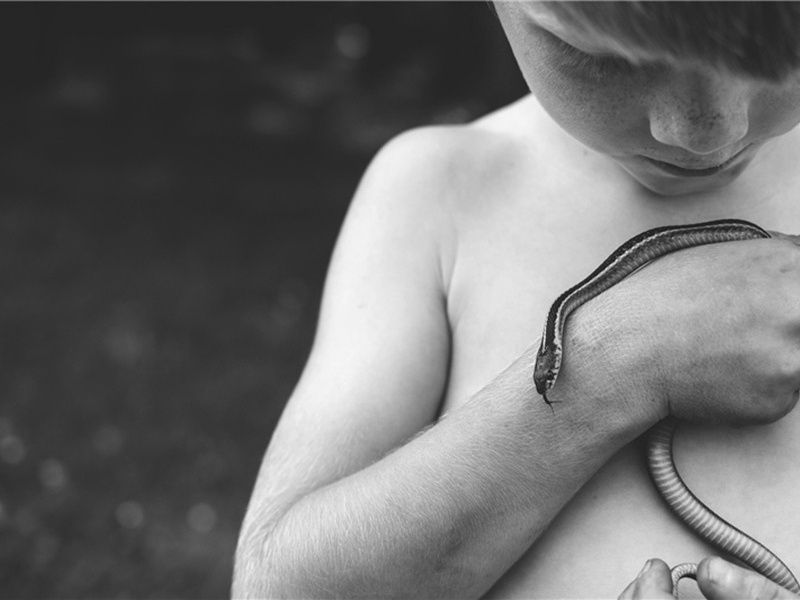 琴曲造句,用琴曲怎么造句子(60句)