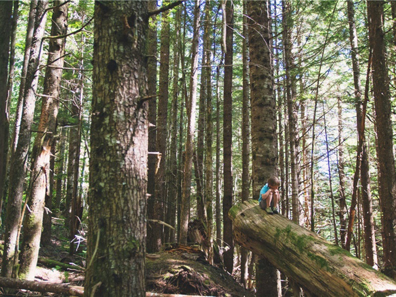 堵上造句,用堵上怎么造句子(41句)