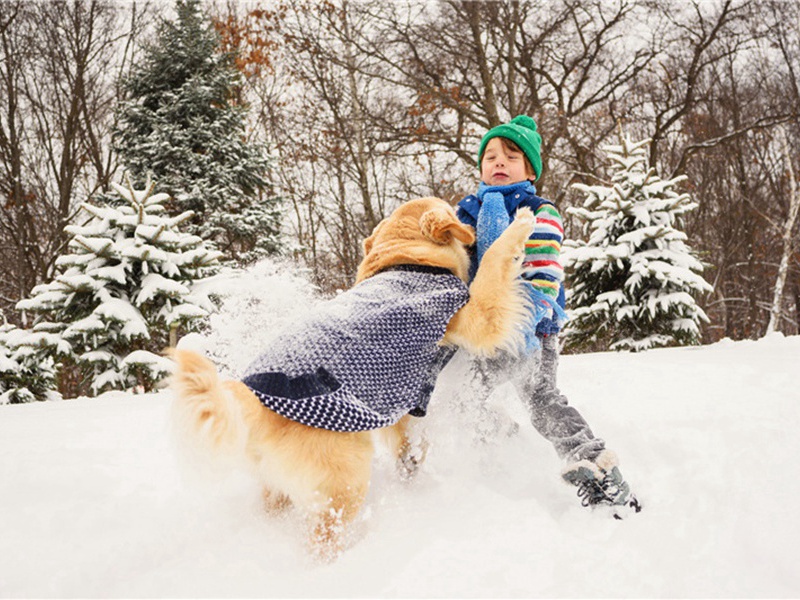 老脸造句,用老脸怎么造句子(76句)