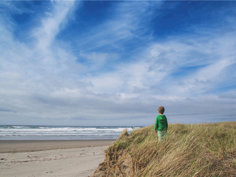 仇怨造句,仇怨怎么造句子(31句)