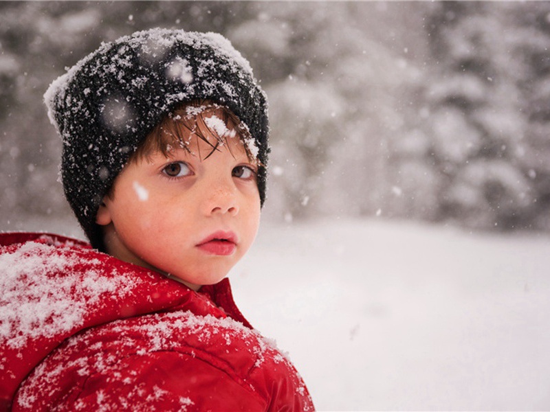 交通造句,交通怎么造句子(173句)