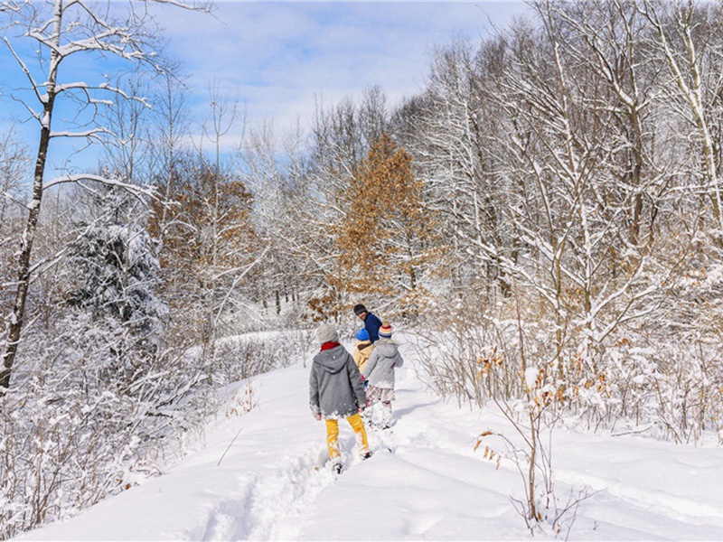埋名造句,用埋名怎么造句子(98句)