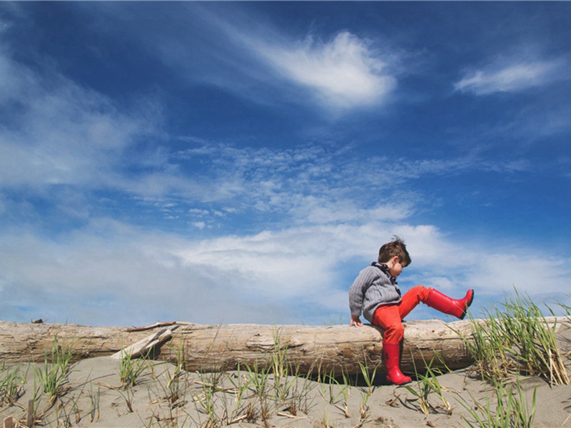 攻势造句,攻势怎么造句子(180句)