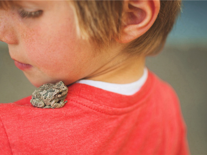 劳拉造句,用劳拉怎么造句子(76句)