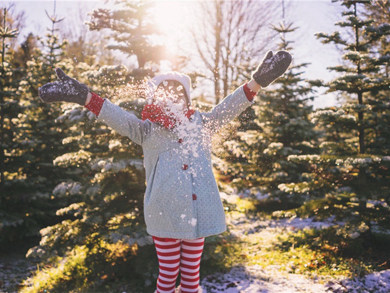 钓鱼岛造句,用钓鱼岛怎么造句子(169句)