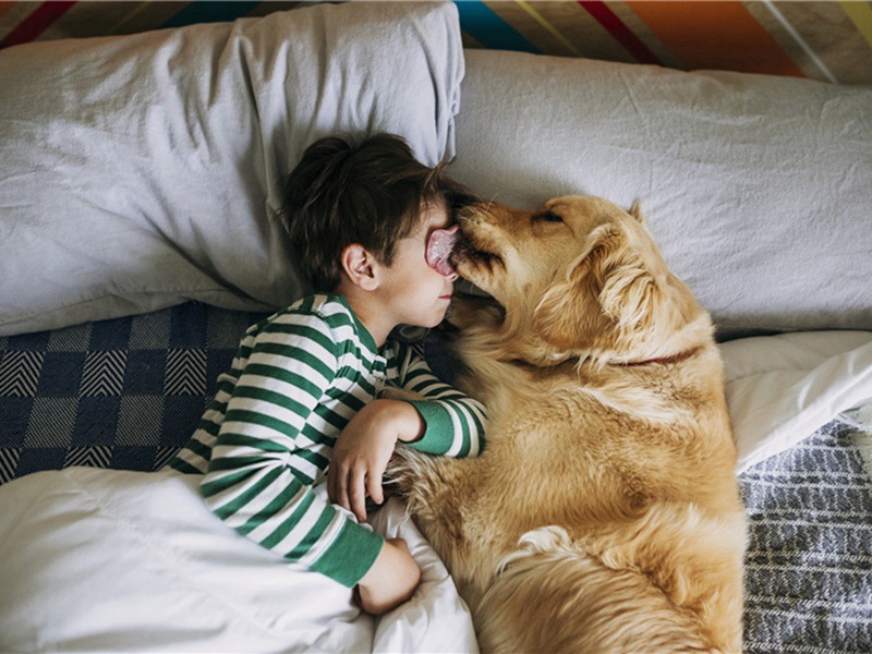 票号造句,用票号怎么造句子(37句)