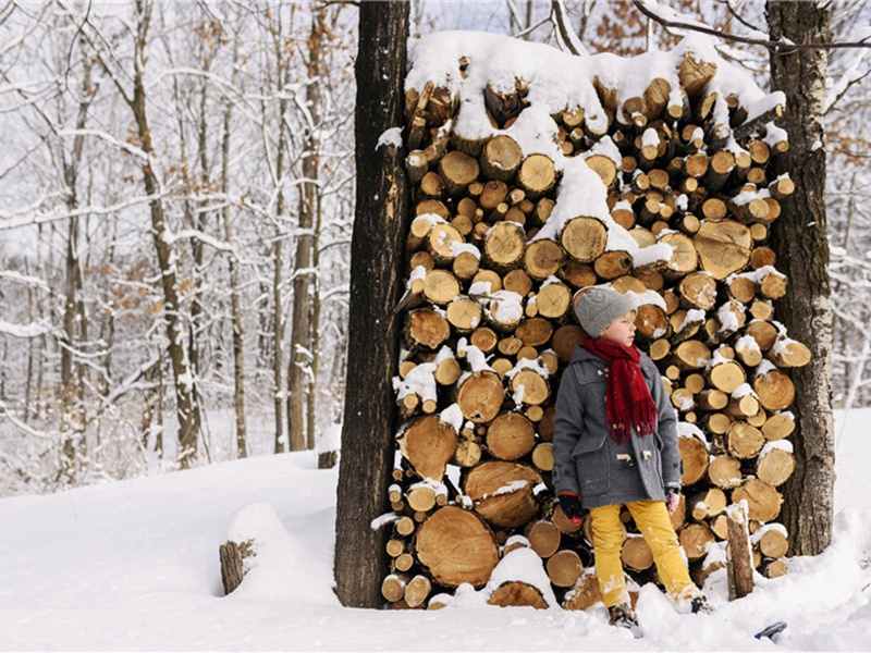 公民自由造句,用公民自由怎么造句子(20句)