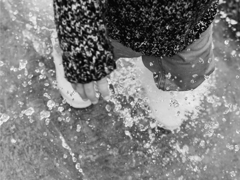 马革造句,用马革怎么造句子(93句)