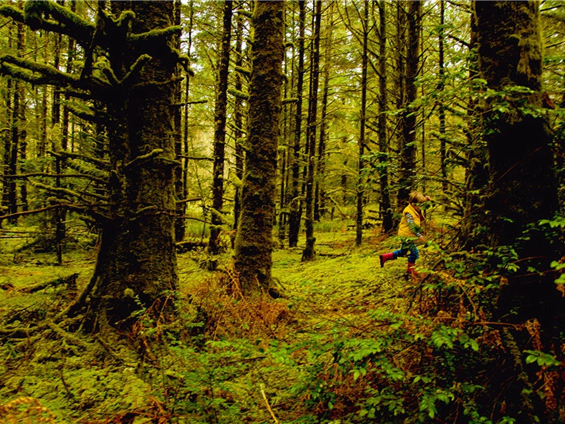 一些问题造句,一些问题怎么造句子(180句)