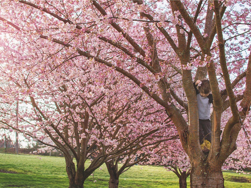 小丑造句,用小丑怎么造句子(180句)