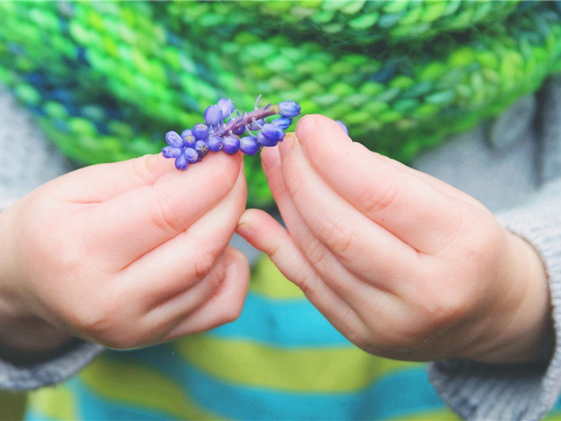 丰硕造句,丰硕怎么造句子(180句)