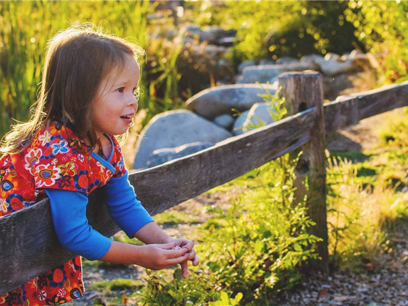 立冬造句,用立冬怎么造句子(180句)