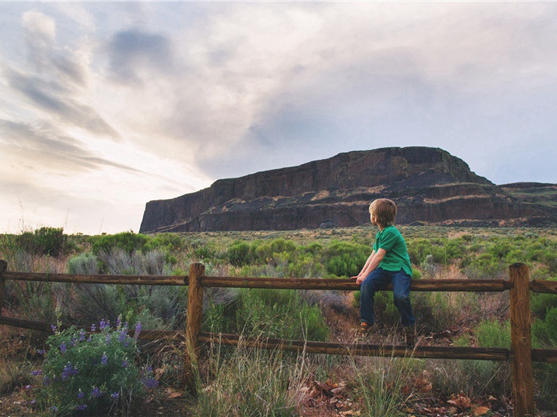 无根造句,用无根怎么造句子(161句)