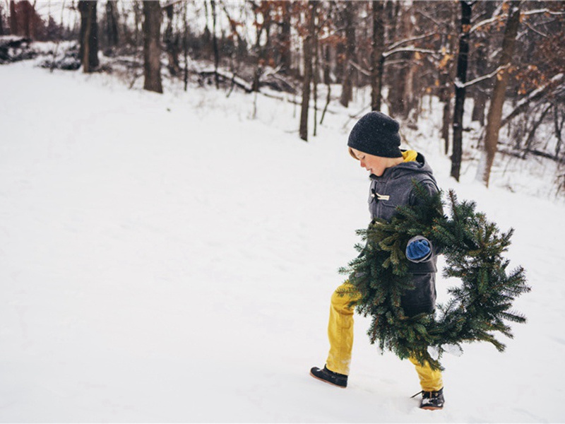 变电站造句,用变电站怎么造句子(85句)