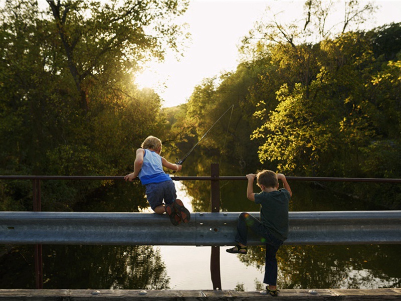 寓居造句,用寓居怎么造句子(30句)