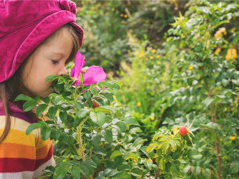 冗长造句,用冗长怎么造句子(150句)