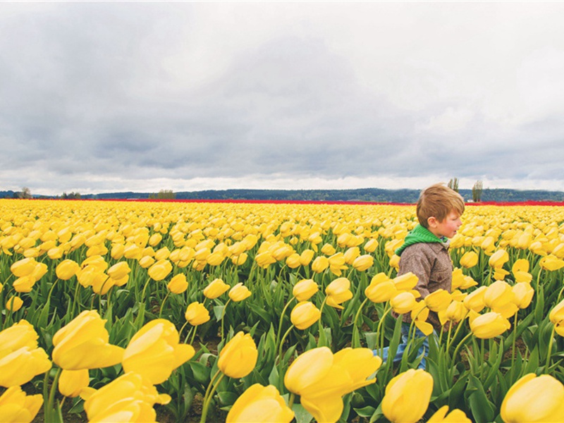 守恒造句,用守恒怎么造句子(141句)