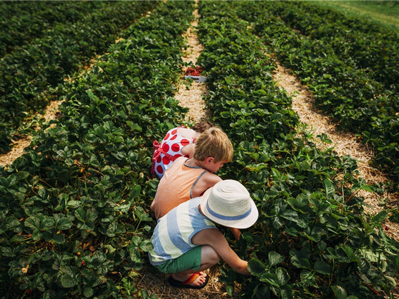 颇感造句,用颇感怎么造句子(76句)