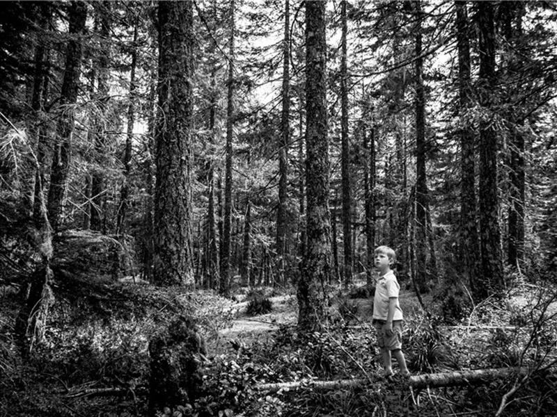 久远造句,久远怎么造句子(180句)