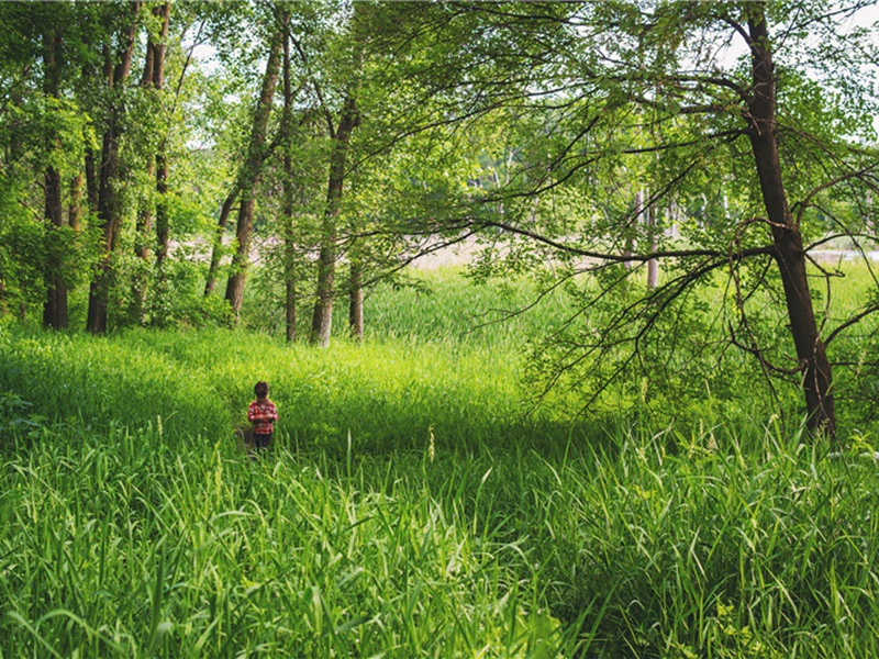 得意忘形造句,用得意忘形怎么造句子(100句)