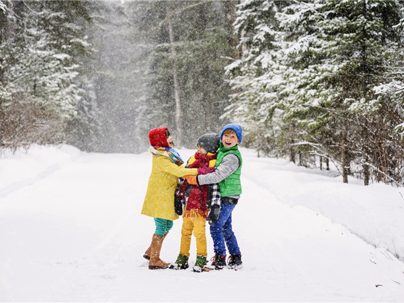 本帖造句,用本帖怎么造句子(165句)