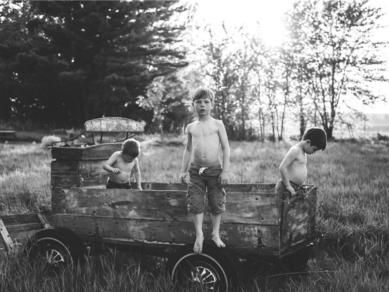 枯黄造句,用枯黄怎么造句子(180句)