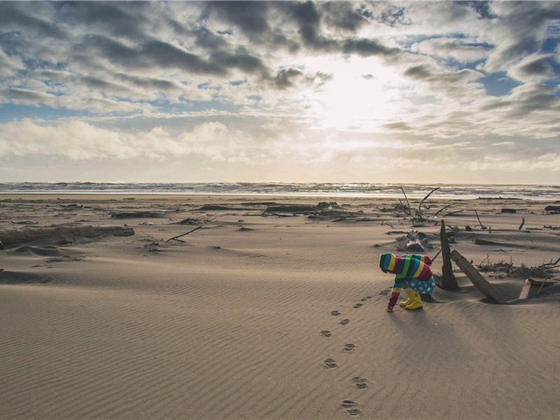 入选造句,用入选怎么造句子(180句)