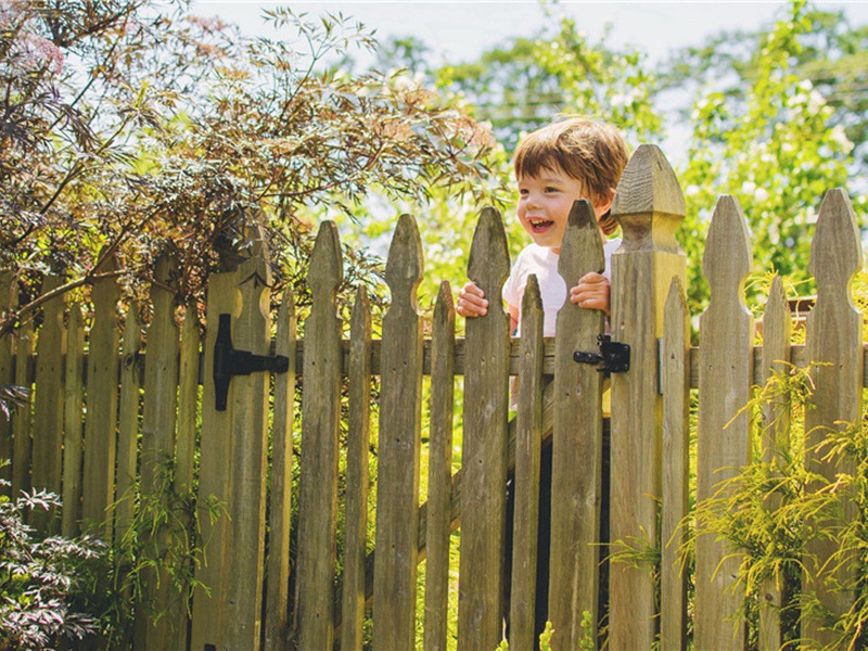 啼啭造句,用啼啭怎么造句子(20句)