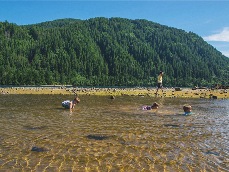 扬鞭造句,用扬鞭怎么造句子(113句)