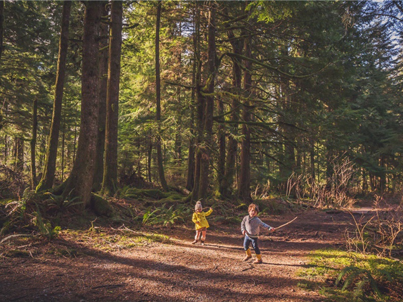 胚芽造句,胚芽怎么造句子(77句)