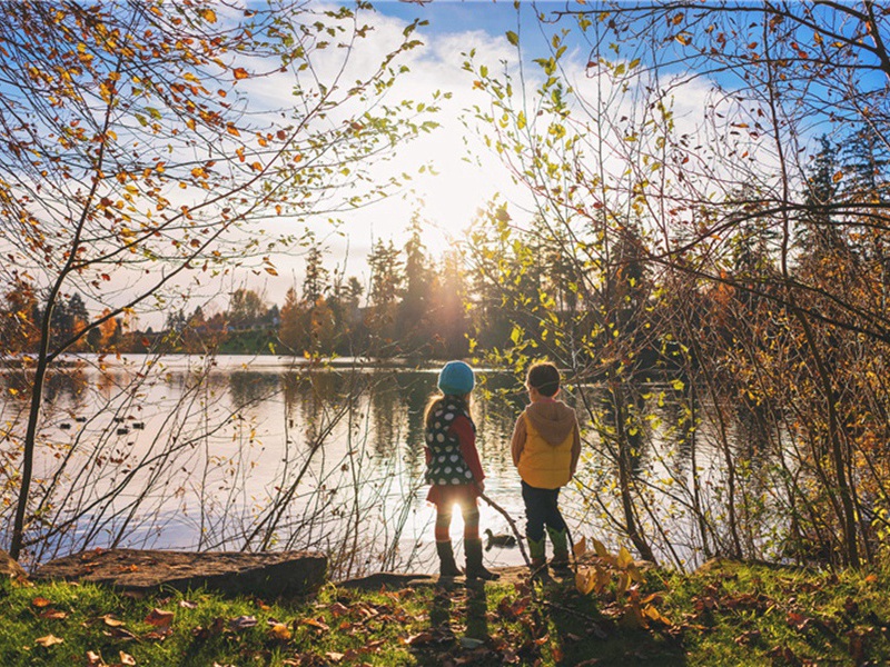 动荡造句,动荡怎么造句子(177句)