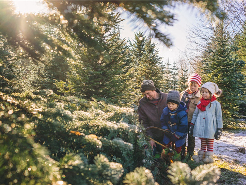 雷峰塔造句,用雷峰塔怎么造句子(24句)