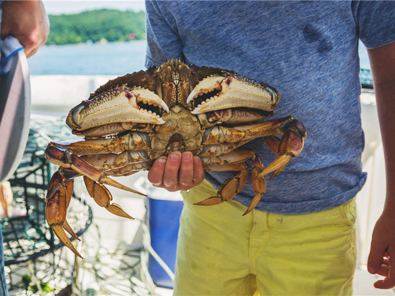 所获造句,用所获怎么造句子(180句)