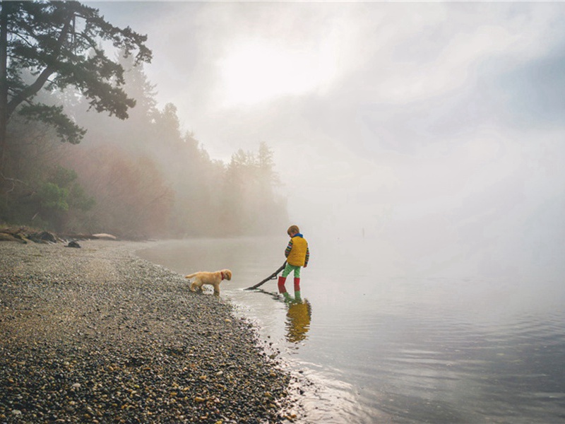 清得造句,用清得怎么造句子(29句)